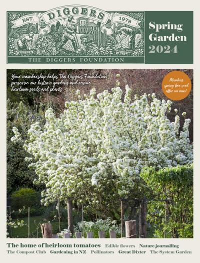 Spring Garden 2024