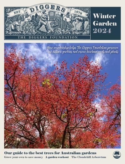 Winter Garden 2024
