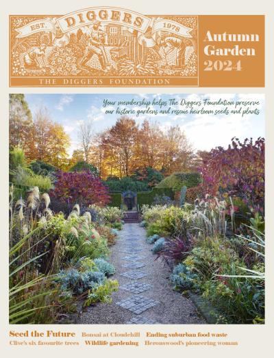 Autumn Garden 2024