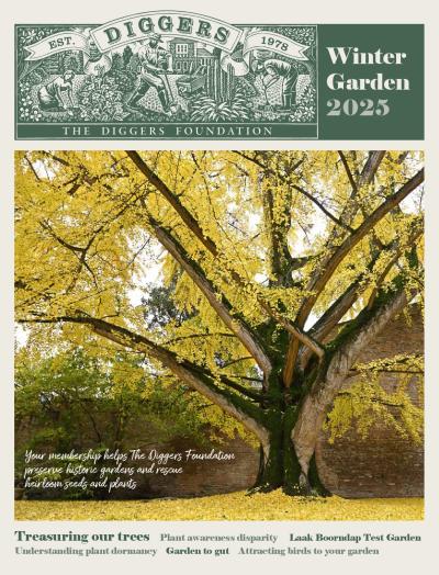 Winter Garden 2025