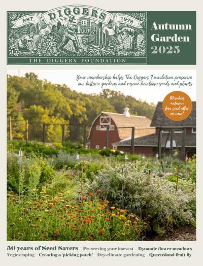 Autumn Garden 2025